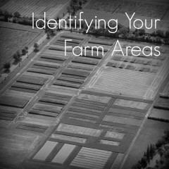Real Dealz 113: Direct Mail 101: Identifying Your Farm Areas