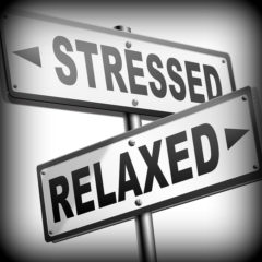 Real Dealz 151: Handling The Stress Of This Business