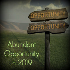 Real Dealz 247: Abundant Opportunity In 2019!