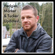Real Dealz 379: Hedgies, Market And Tucker Updates!